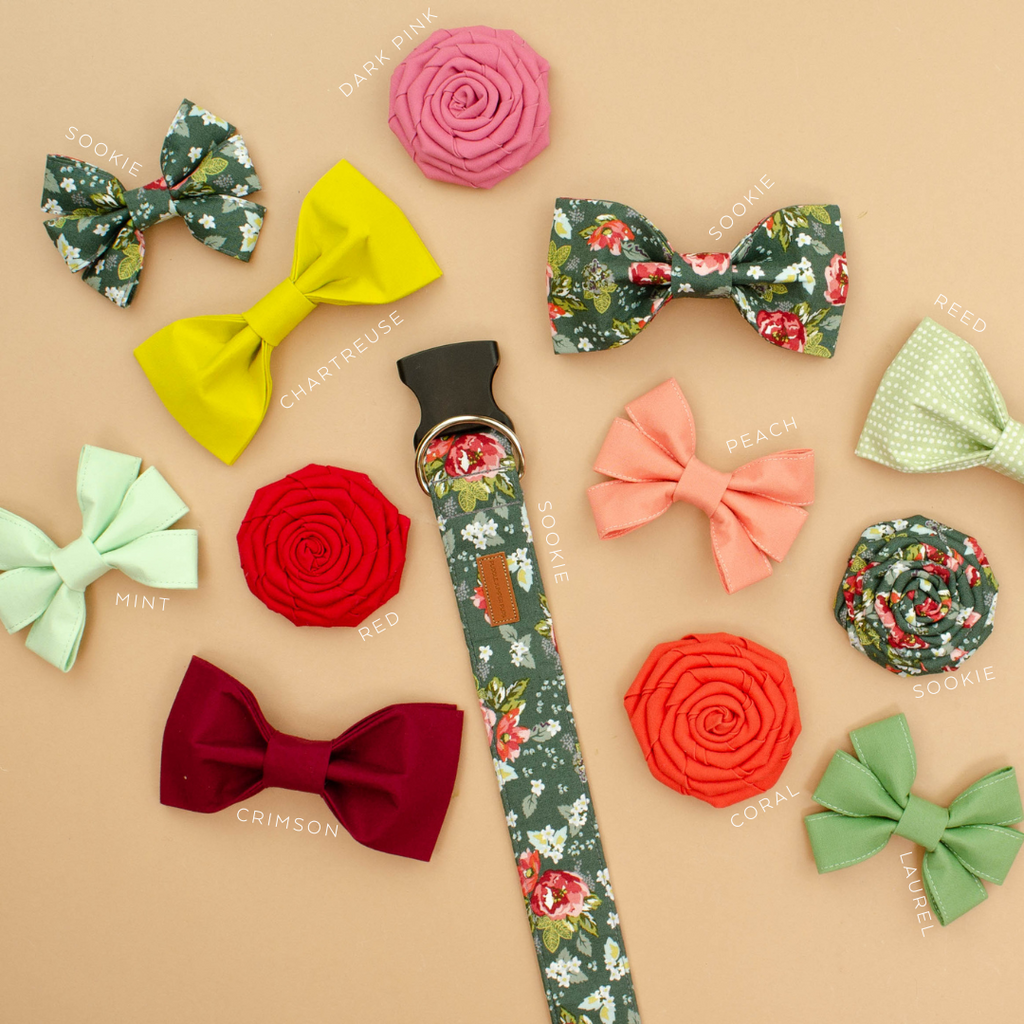 The Sookie  Bowtie
