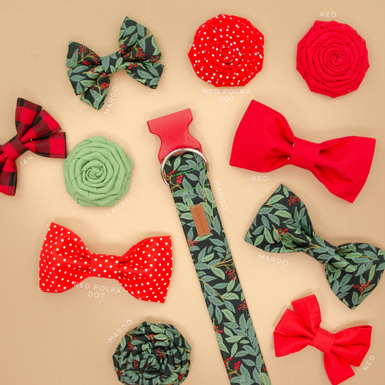 The Margo Bowtie