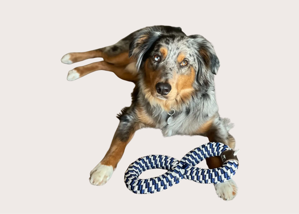 Braided Infinity Tug Toy