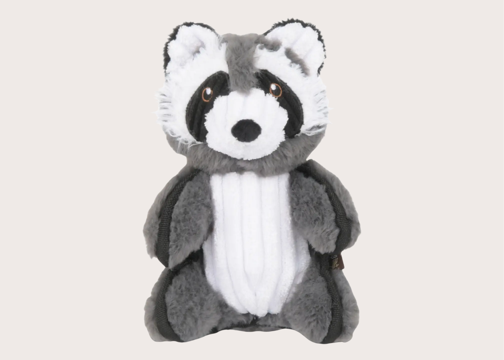 Robby the Raccoon