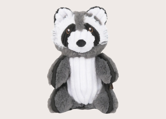 Robby the Raccoon