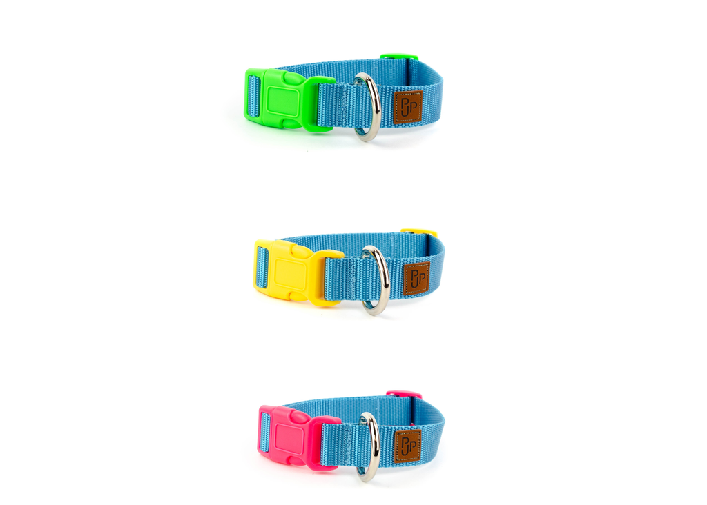 PJP Fetch Collar - Blue Sky