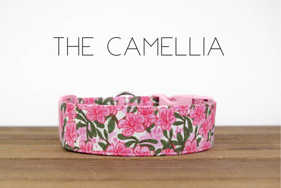 The Camellia