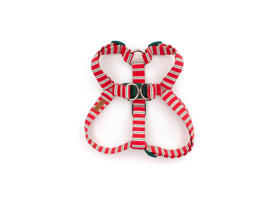 The Naughty List Harness