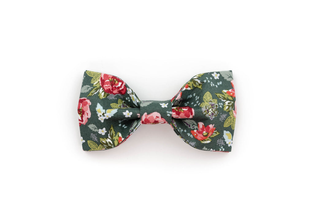 The Sookie  Bowtie