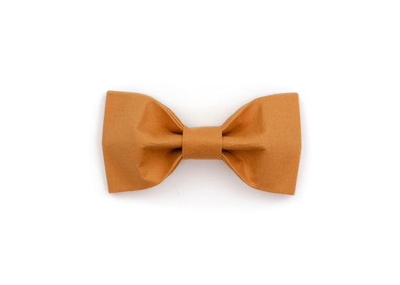 Cardamom Bowtie