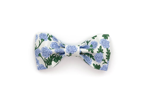 Savannah Bowtie