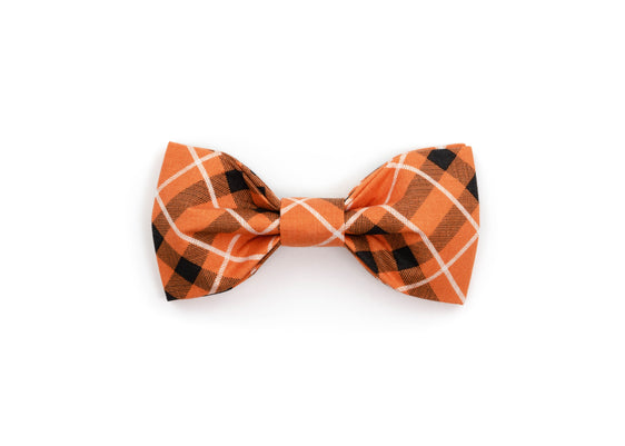 The Poe Bowtie