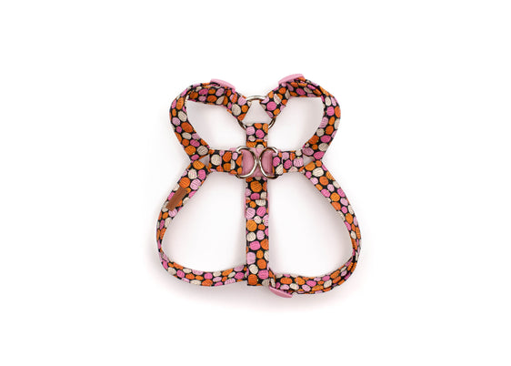 The Sally Harness