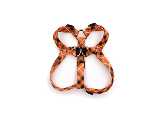 The Poe Harness
