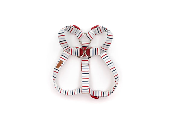 The Sam - Harness