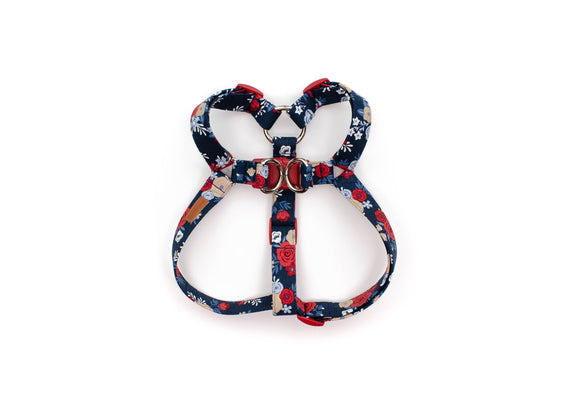 The Betsy - Harness