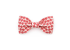 The Frasier Bowtie