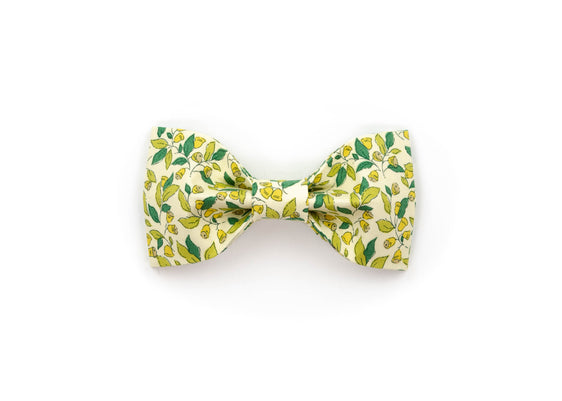 The Carol Bowtie