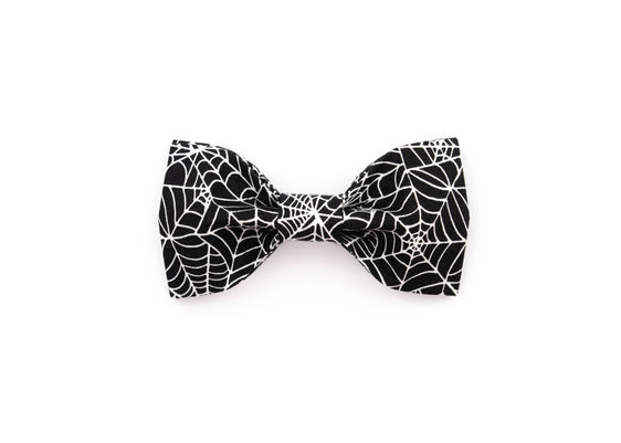 The Gwen Bowtie