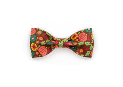 The Meredith Bowtie