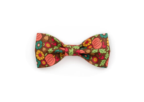 The Meredith Bowtie