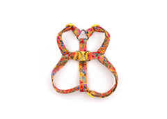 The Lucille Harness