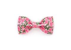 The Camellia Bowtie