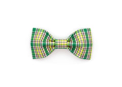 The Palmer Bowtie