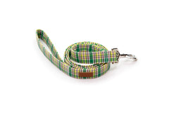 The Palmer Leash