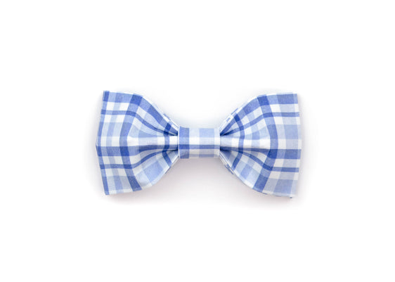 The Easton Bowtie