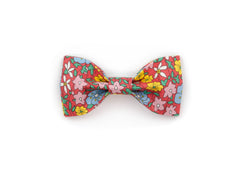 The Melody Bowtie