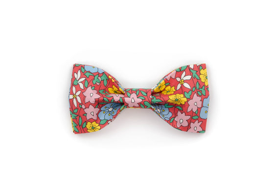 The Melody Bowtie
