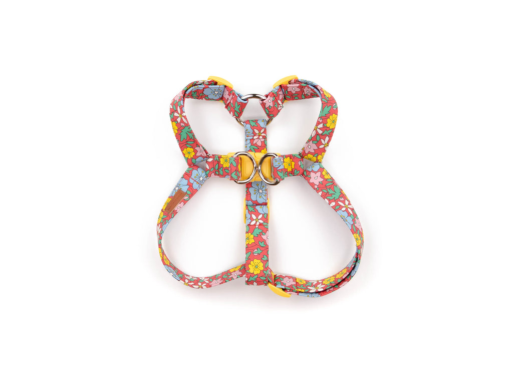 The Melody Harness