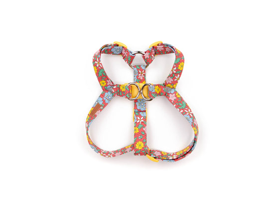 The Melody Harness