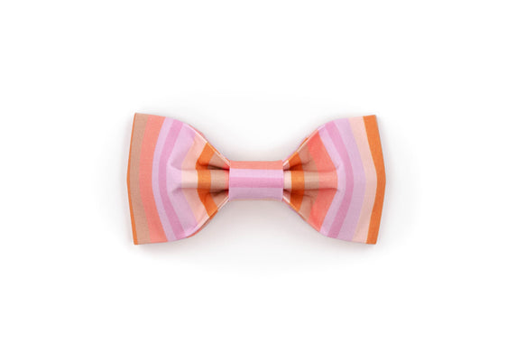 The Cecily - Bowtie