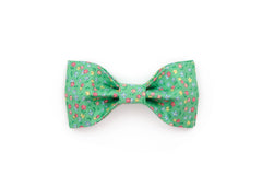 The Juniper Bowtie
