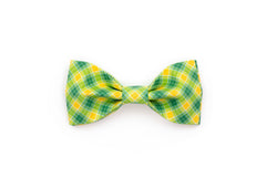 The Arnold Bowtie