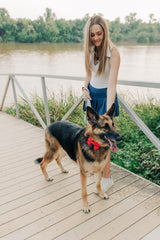 The Phoebe Leash