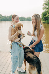 The Phoebe Leash