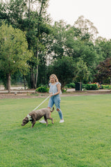 The Isla Leash