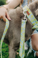 The Isla Leash