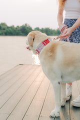The Rowan Leash