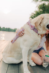 The Rowan Leash