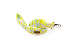 The Isla Leash