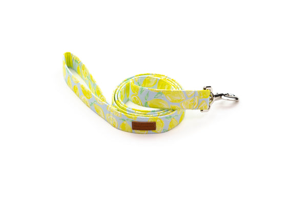 The Isla Leash