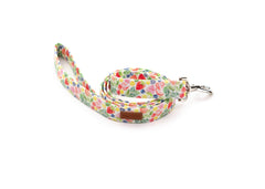 The Phoebe Leash