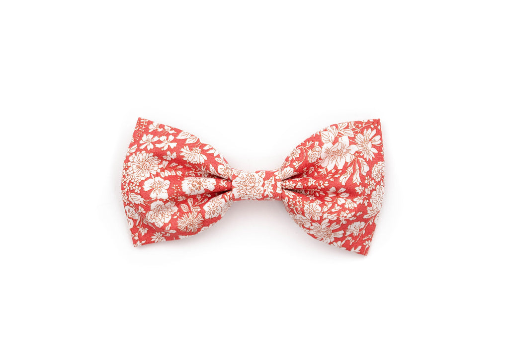 The Cora Gentleman Bow