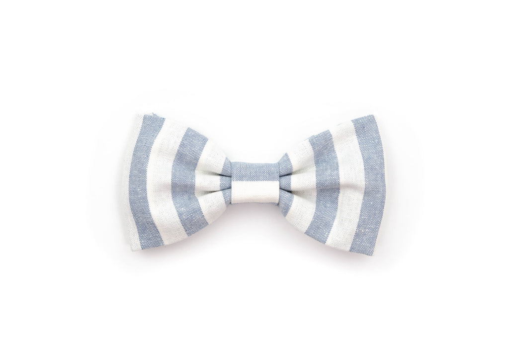 The Dune Gentleman Bow