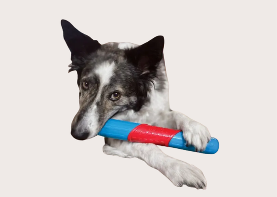 Kong Rattlez Stick Dog Toy
