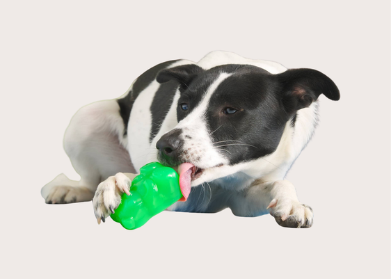 Bark Super Chewer Gummy Bear Toy