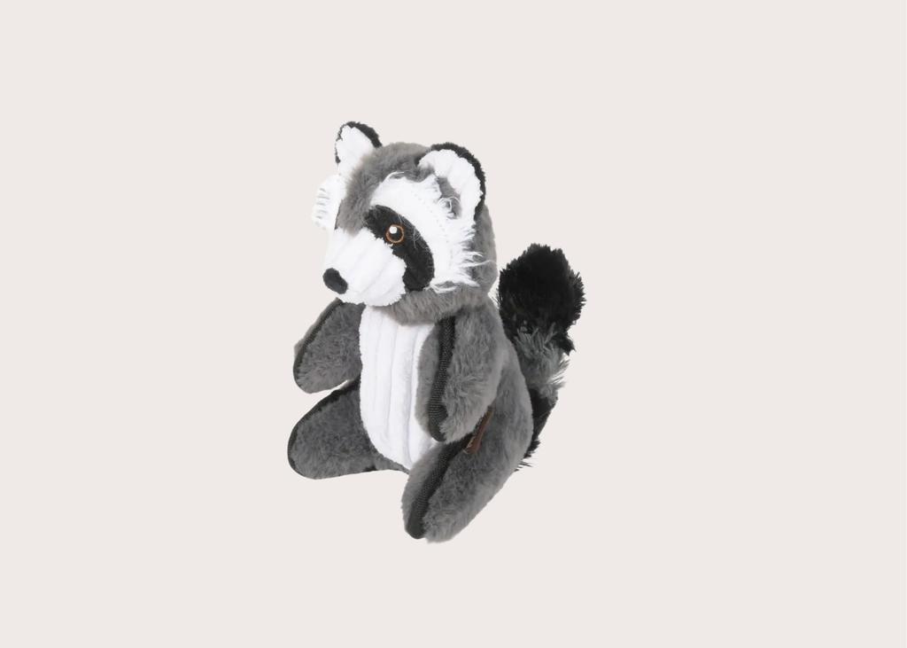 Robby the Raccoon