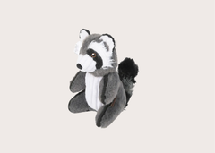 Robby the Raccoon