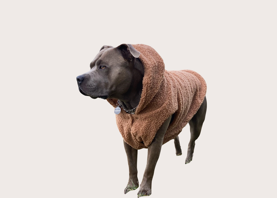 Sherpa Fleece Dog Hoodie