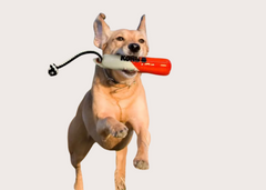 Wild Shieldz Training Dummy Chew Toy